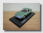 model (11)